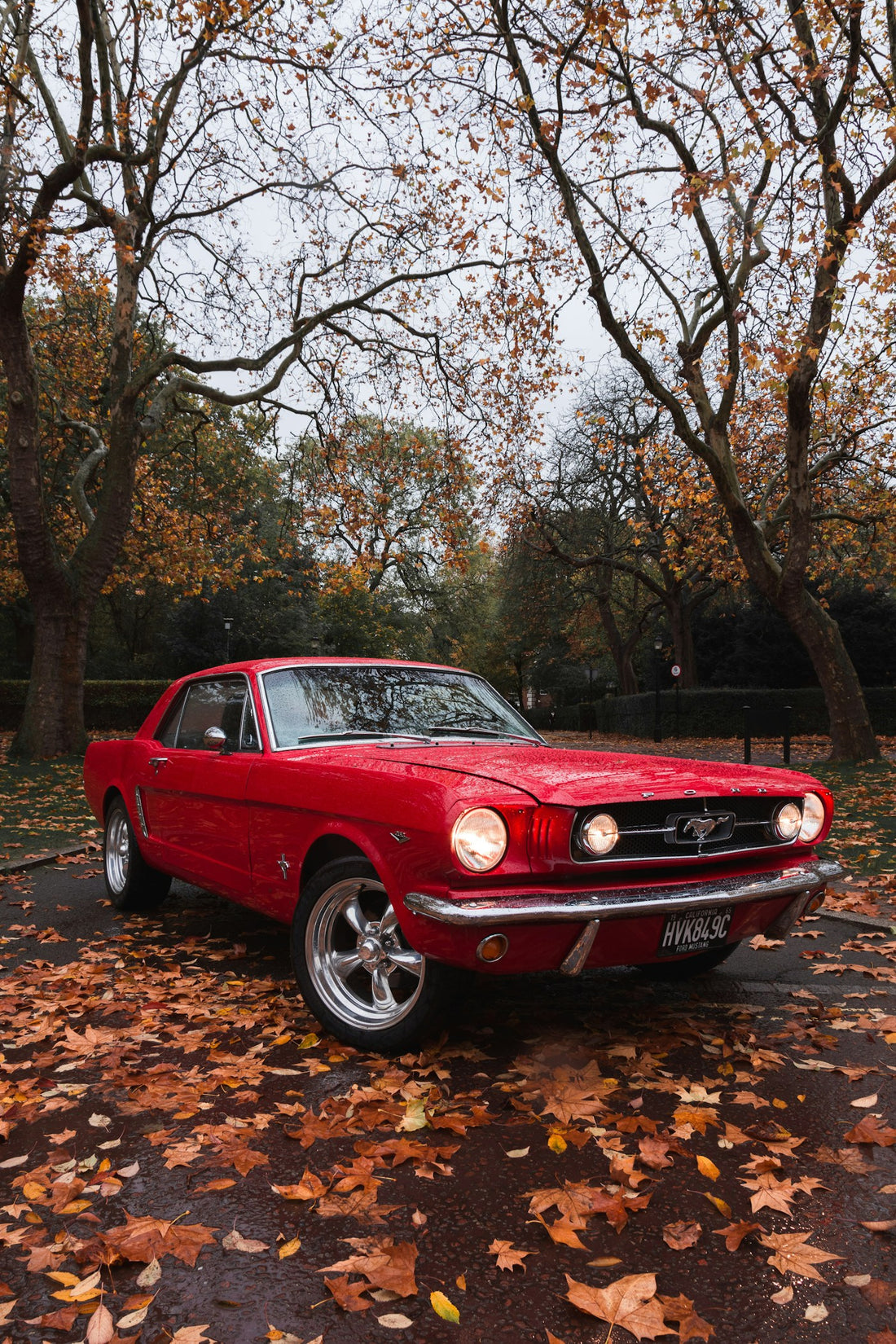 Ford Mustang (1964-1966): The Car That Created the Pony Class