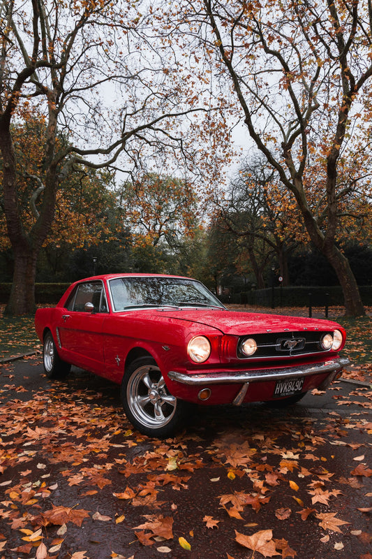 Ford Mustang (1964-1966): The Car That Created the Pony Class